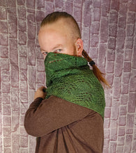 Load image into Gallery viewer, Pines on the Mountain